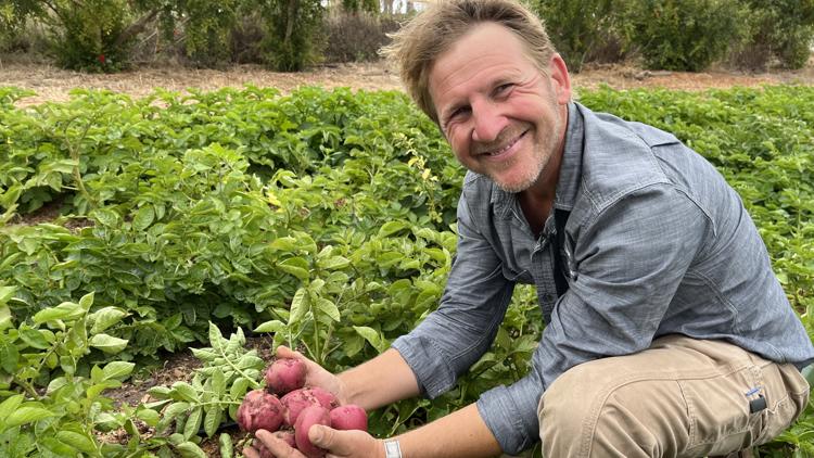 Coastal Roots Farm invites the public to play with nature
