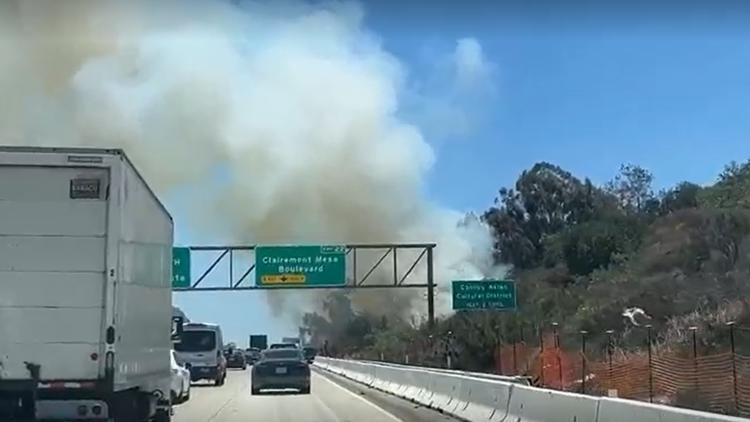 Brush fire extinguished along 805 freeway in San Diego, causing heavy traffic