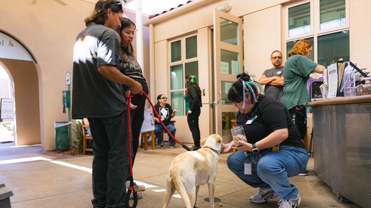 Dozens of lost pets at San Diego Humane Society due to July 4 fireworks