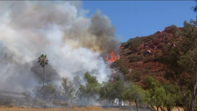 Vegetation Fire Forces Evacuations in Ramona as Crews Battle Creelman Blaze