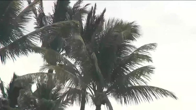 Former San Diegan living in Hawaii braces for Hurricane Lowell as winds rise, flooding threat grows