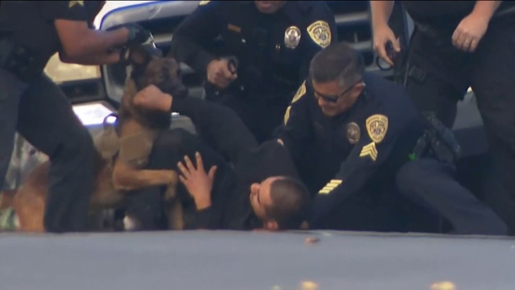 PETA urges SDPD to retire K-9 after North Park incident, calls for tech-based solutions