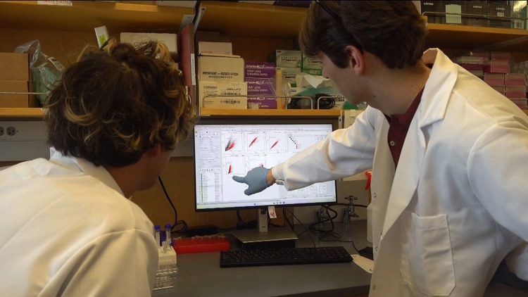 UC San Diego researchers developing ‘smart’ red blood cells with $11.3 million DARPA grant