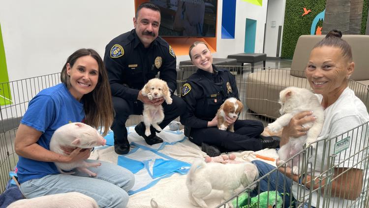 San Diego Humane Society Expands Stress-Relief Programs for Law Enforcement and Public Figures