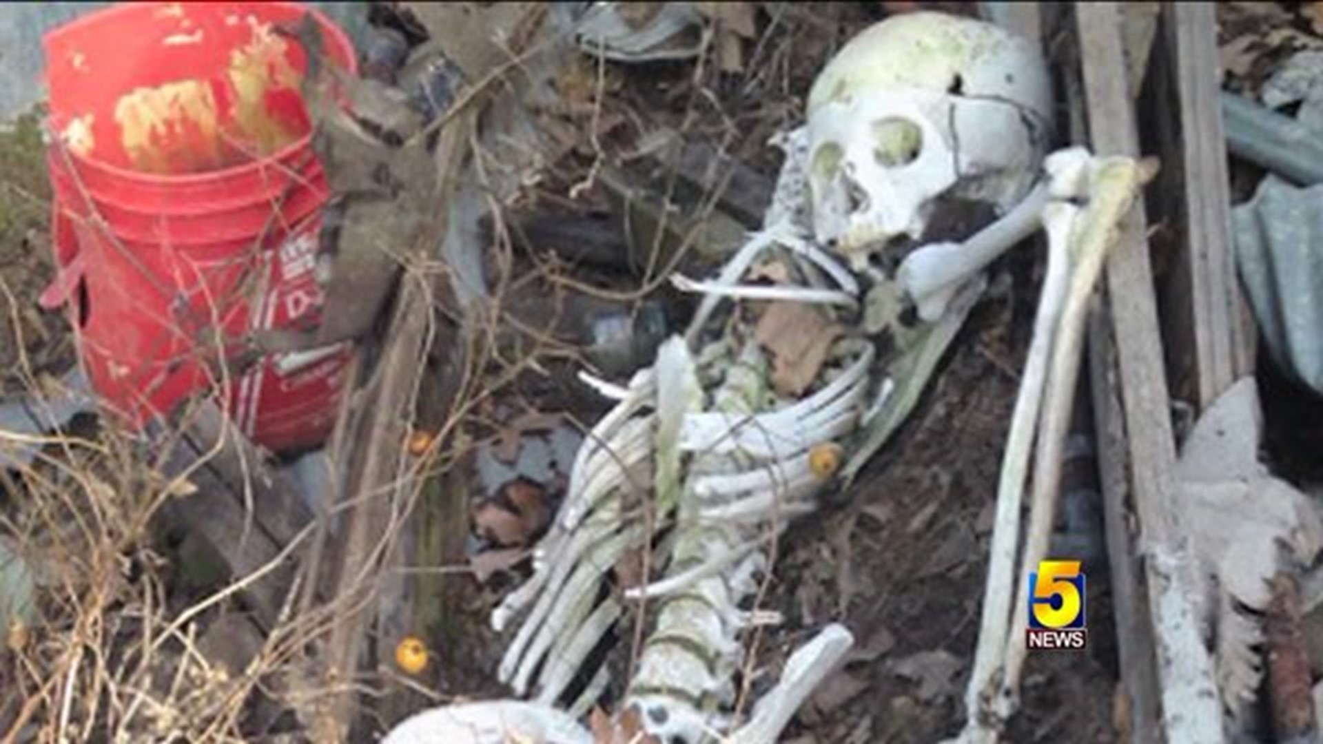 100-Year-Old Human Skeleton Found