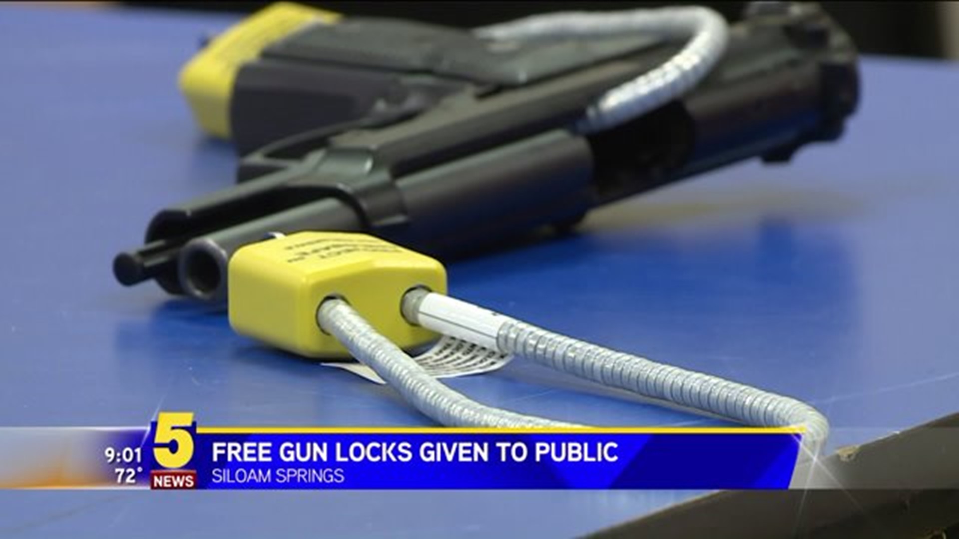 Gun Locks