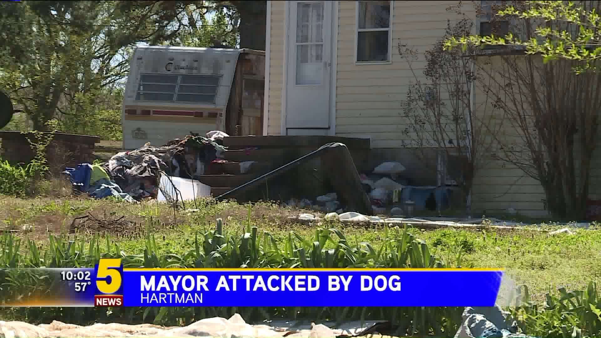 Hartman Mayor Attacked By Dog