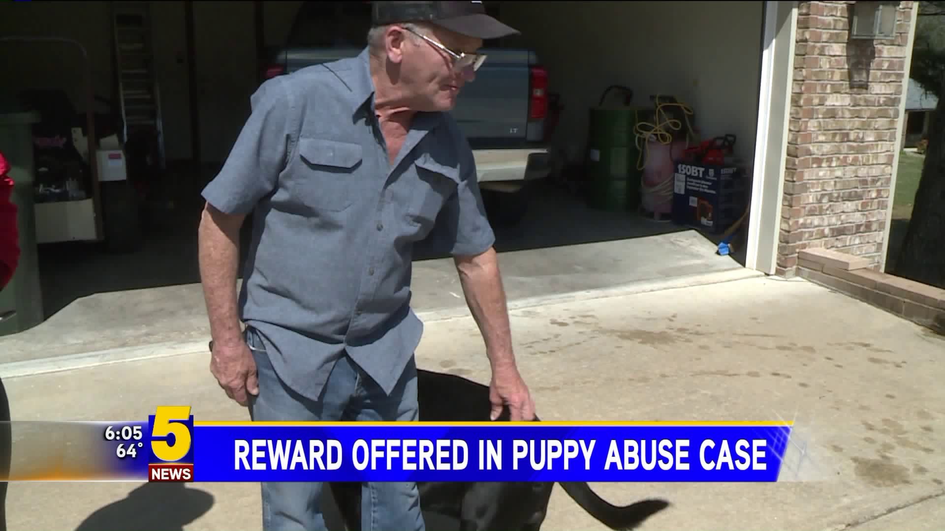Reward Offered In Puppy Abuse Case