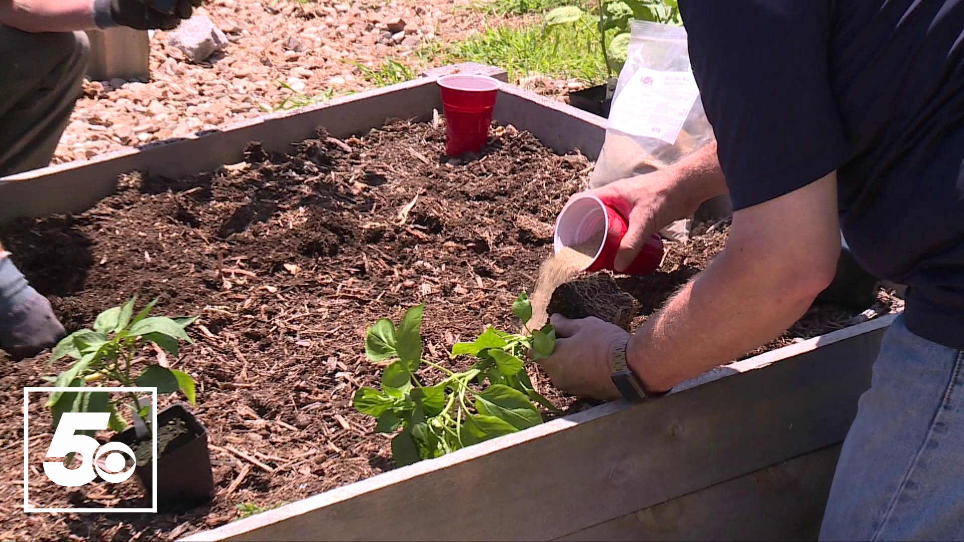 As the warm weather sets in, the 5NEWS Garden Club looks at the best fertilizer to use for summer crops.