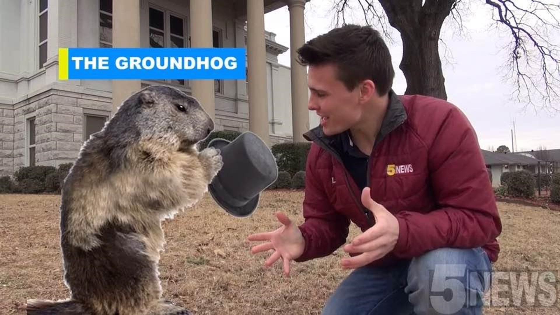 Groundhog Fact Check