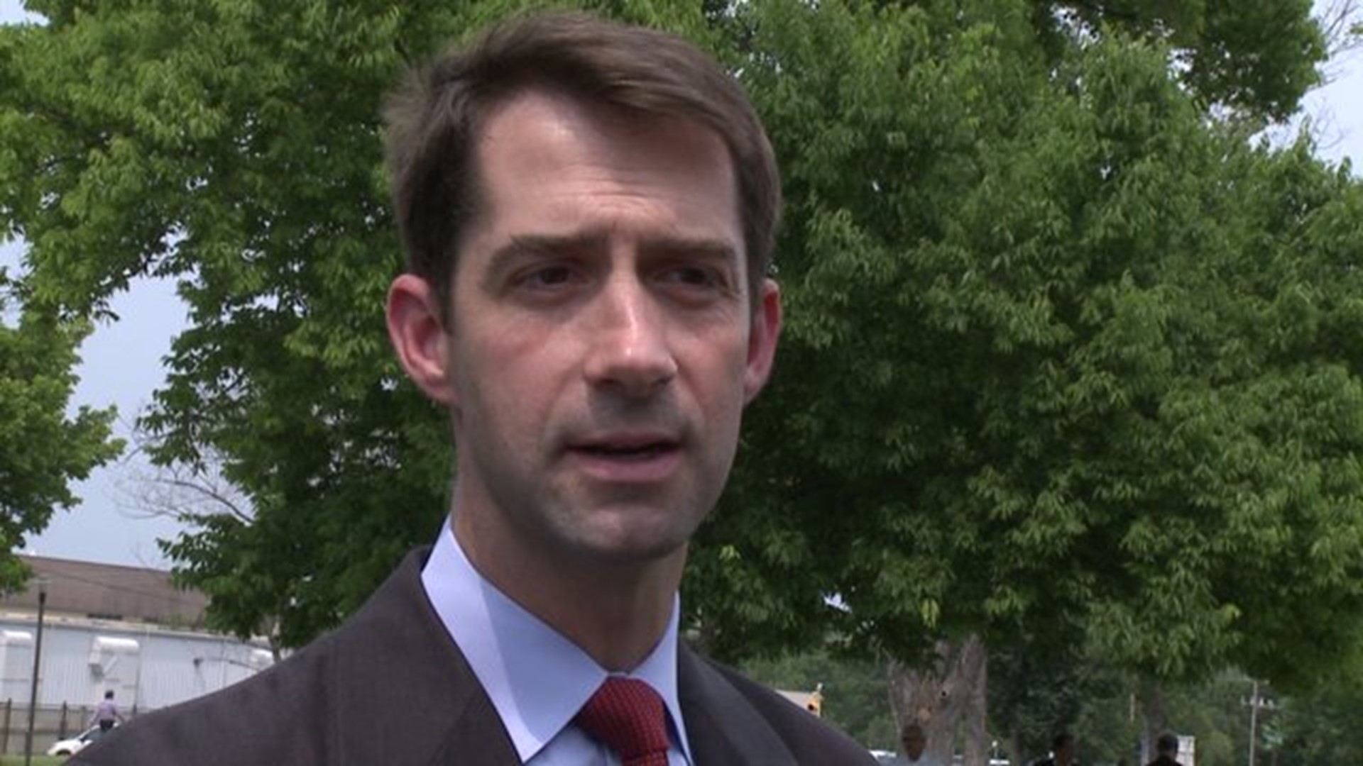 Sen. Tom Cotton On Gay Marriage Ruling