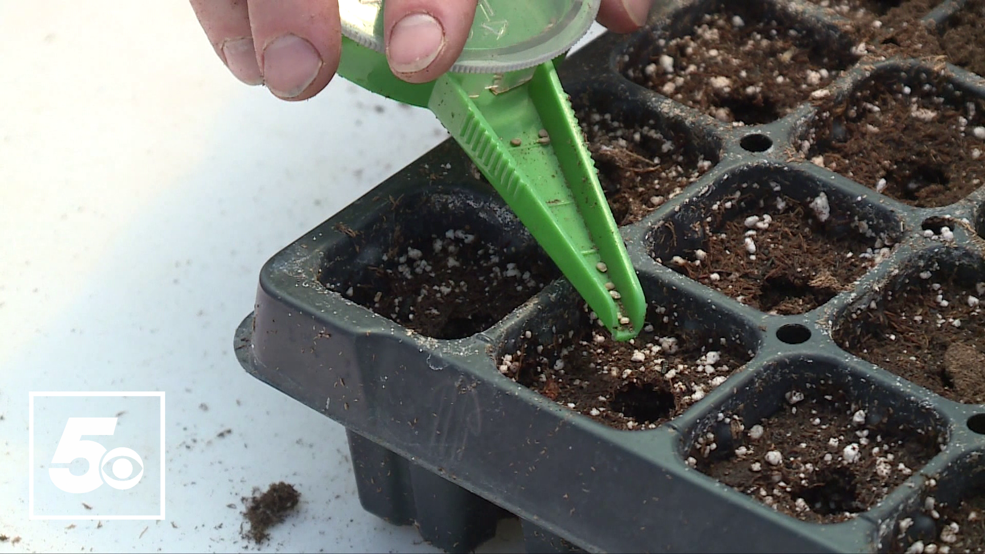 Watch this week's Garden Club segment discussing how to start a garden, beginning with the seeding process.