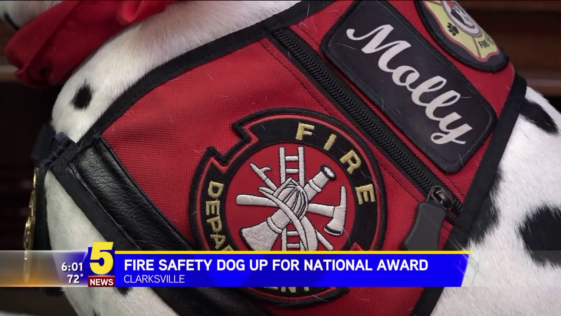 Molly The Fire Safety Dog Nominated For National Award