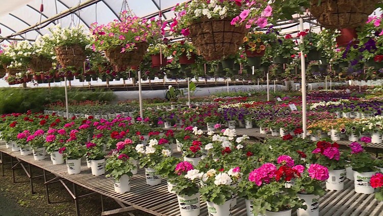Sharum’s Garden Center Tips: New Inventory & Care For Plants During Spring