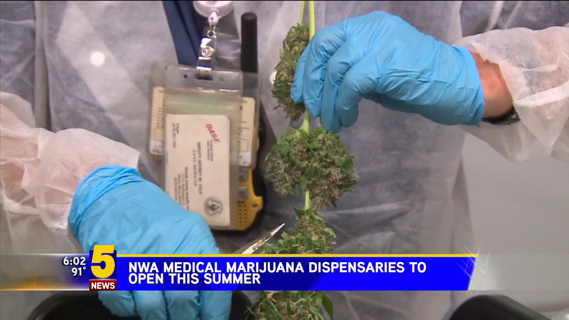 NWA Medical Marijuana Dispensaries to Open This Summer
