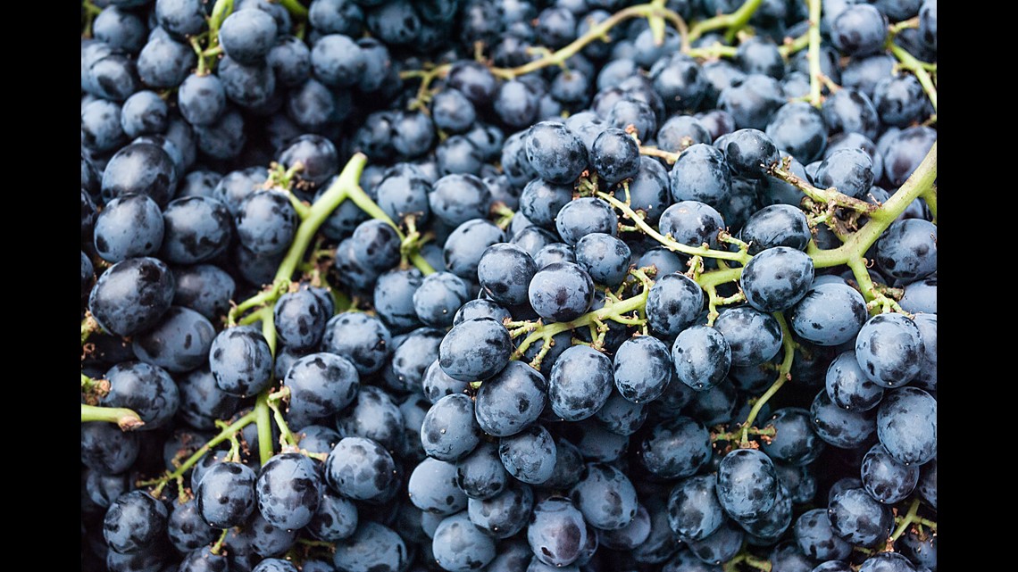 Choking On Grapes Can Kill Young Children, Doctors Warn