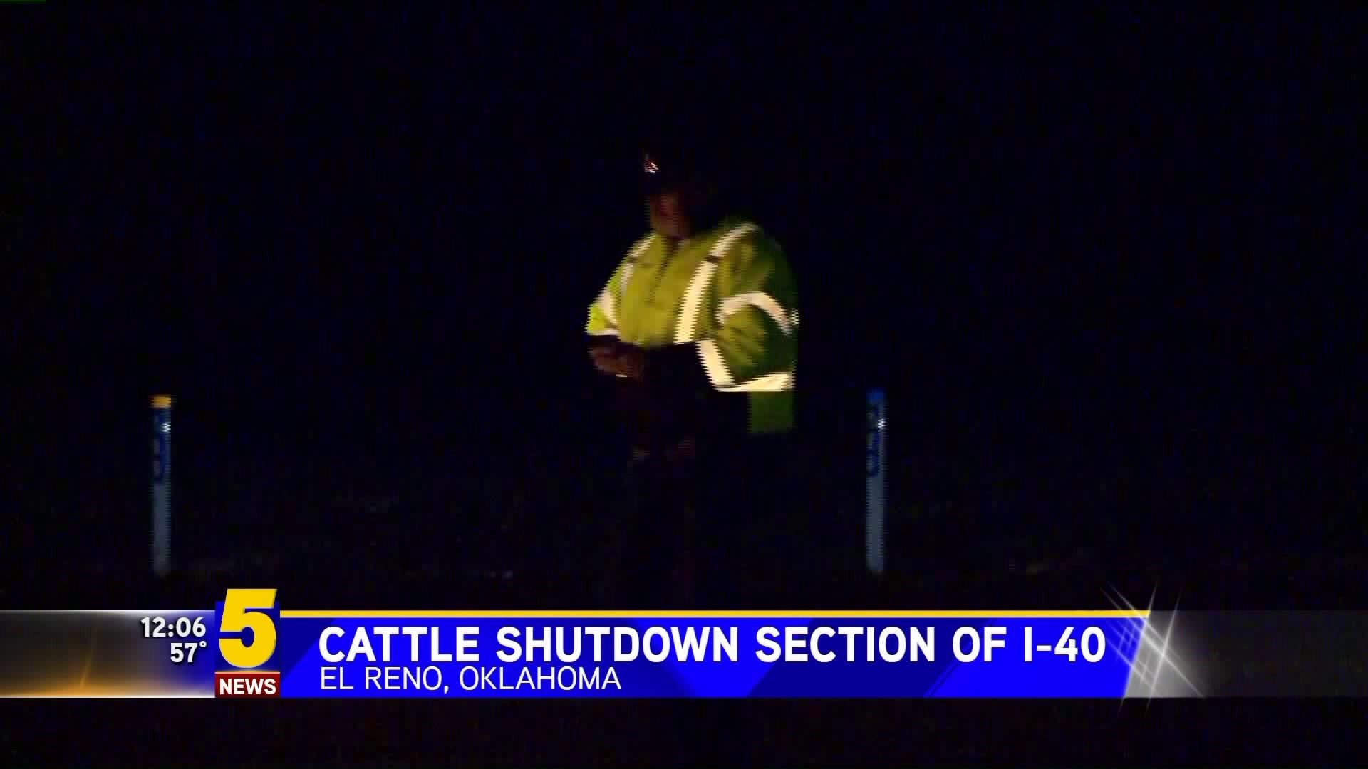 Cattle Shutdown Section of I-40 in Oklahoma