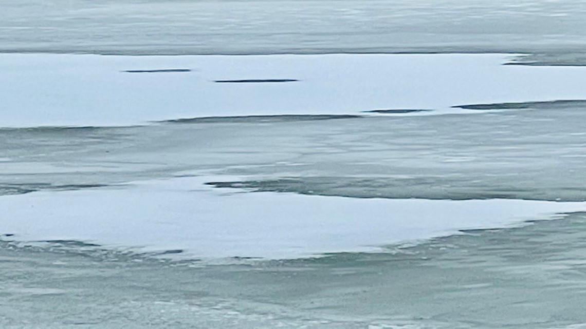 17-year-old drowns in Oklahoma while trying to rescue dog - Vimarsana News