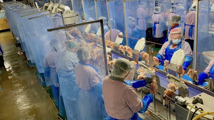 Debate continues about worker safety in meat processing plants ...