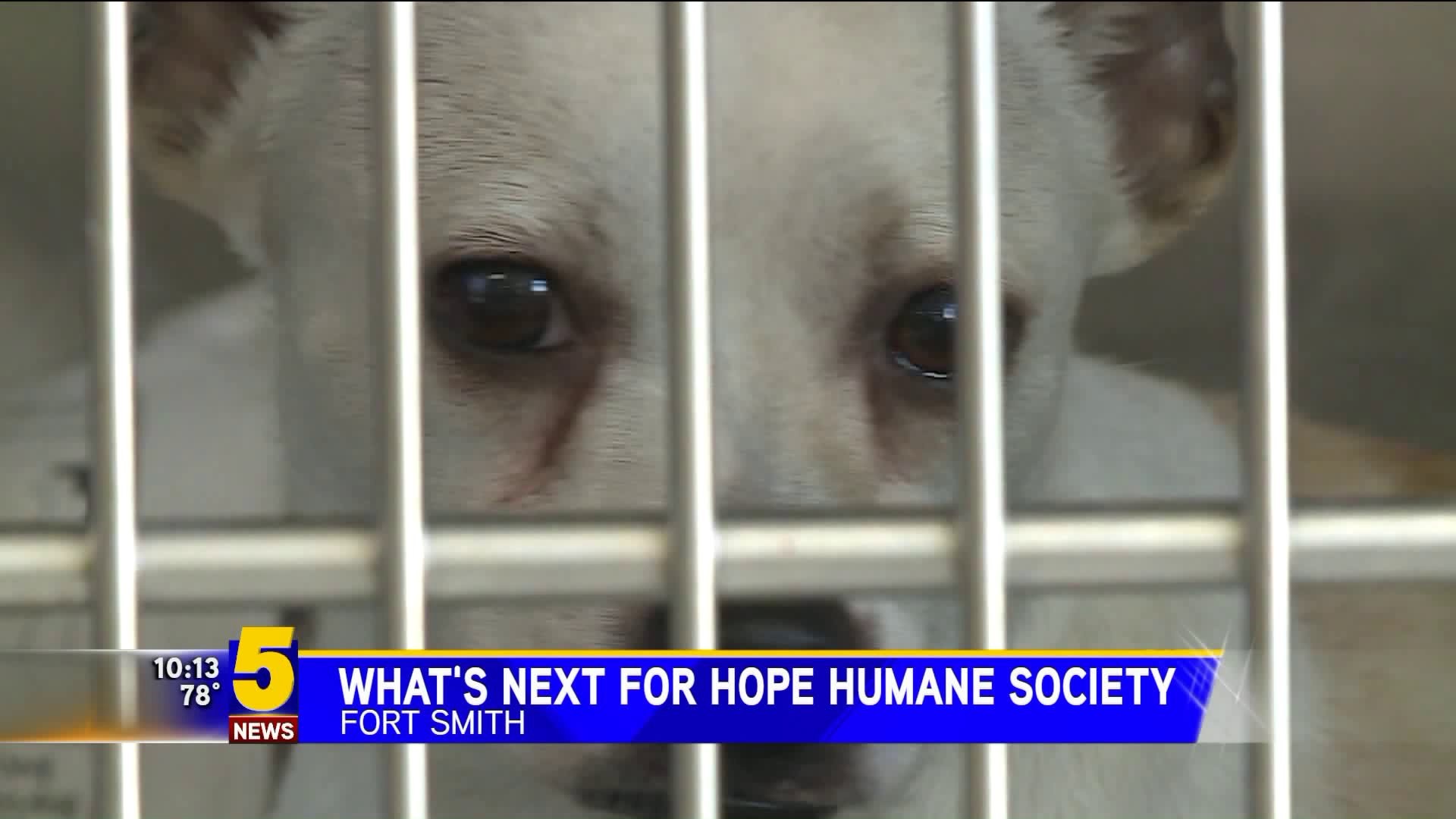 HOPE Humane Society Transporting Animals To Safety Before Closing |  