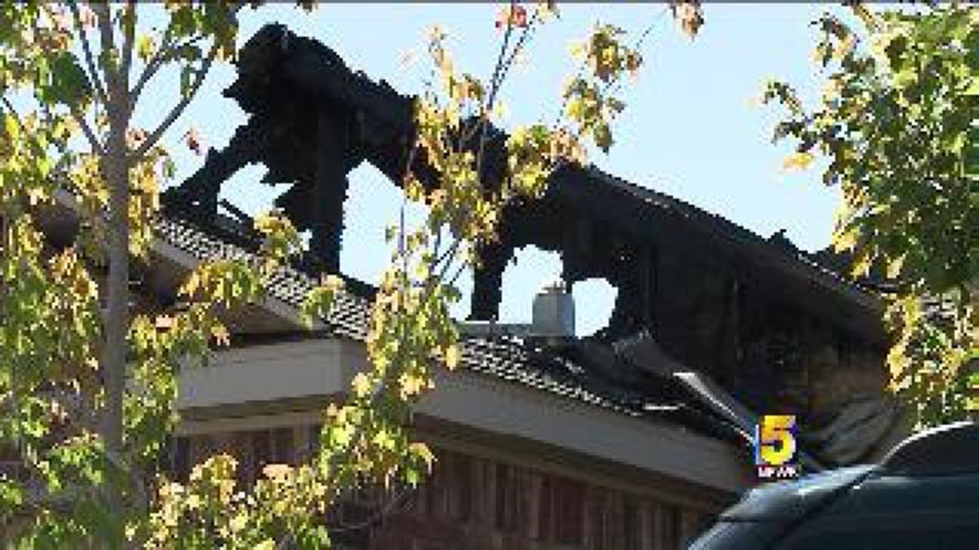 Good Neighbor Alerts Family their House is On Fire