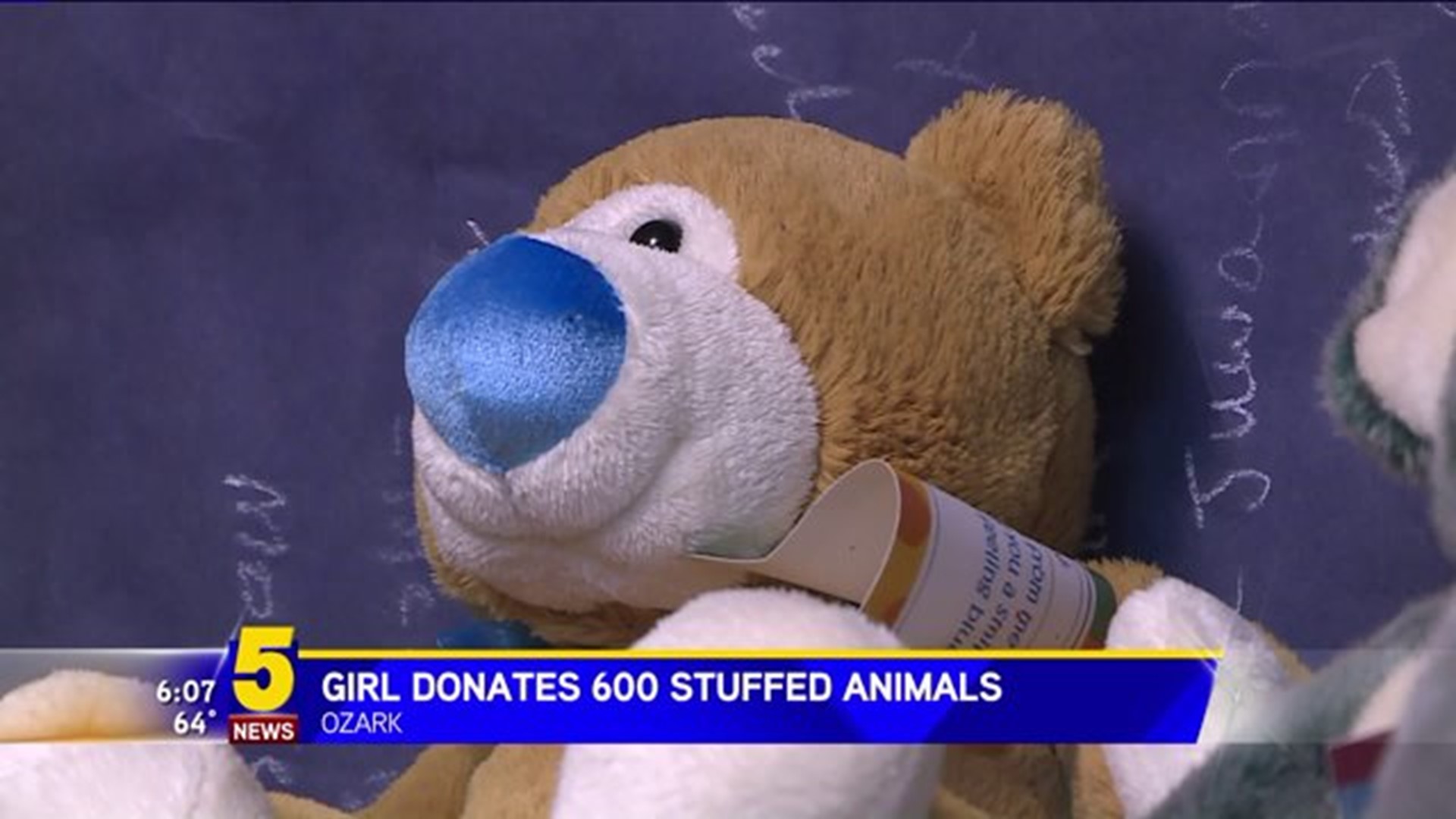 Girl Donates 600 Stuffed Animals