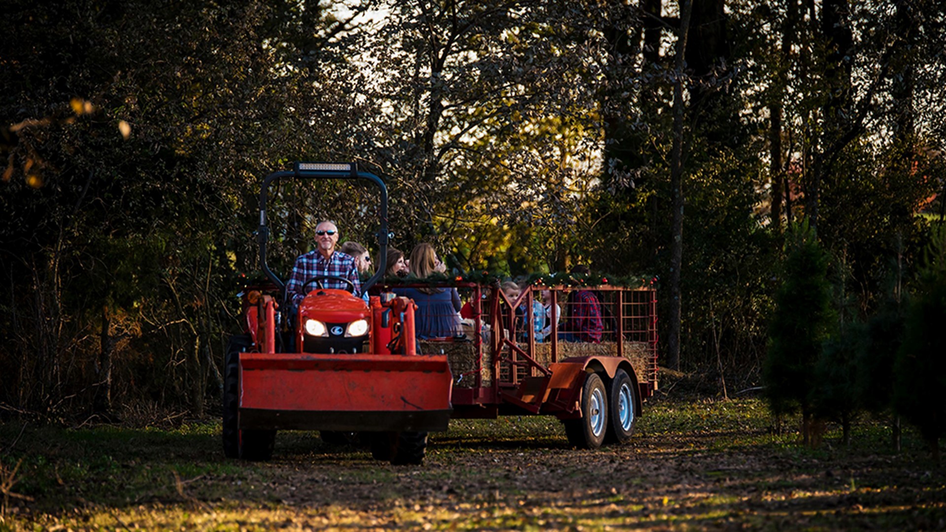 Pea Ridge Christmas tree farm closes early | 5newsonline.com