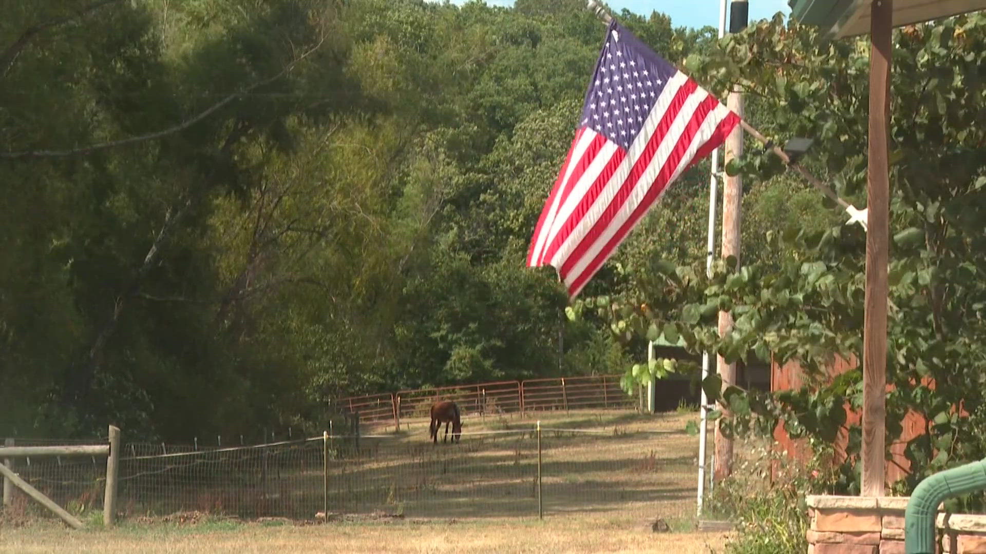 Veterans find healing at Warhorse Legacy Foundation through equine companionship