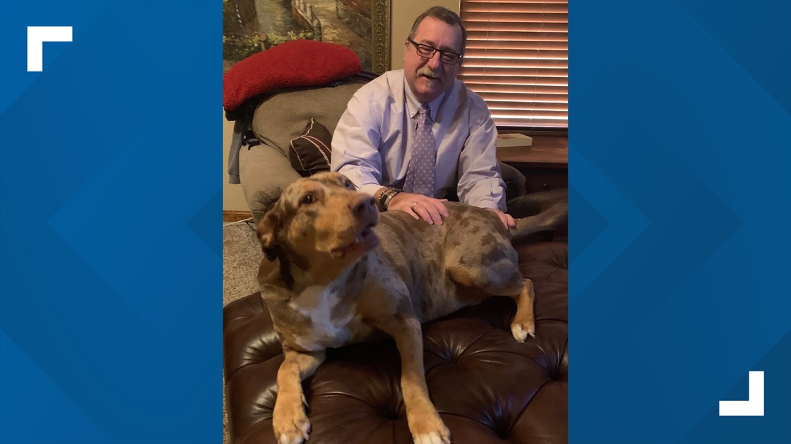 Oklahoma bill would make rescue animals the State Pet - Vimarsana News