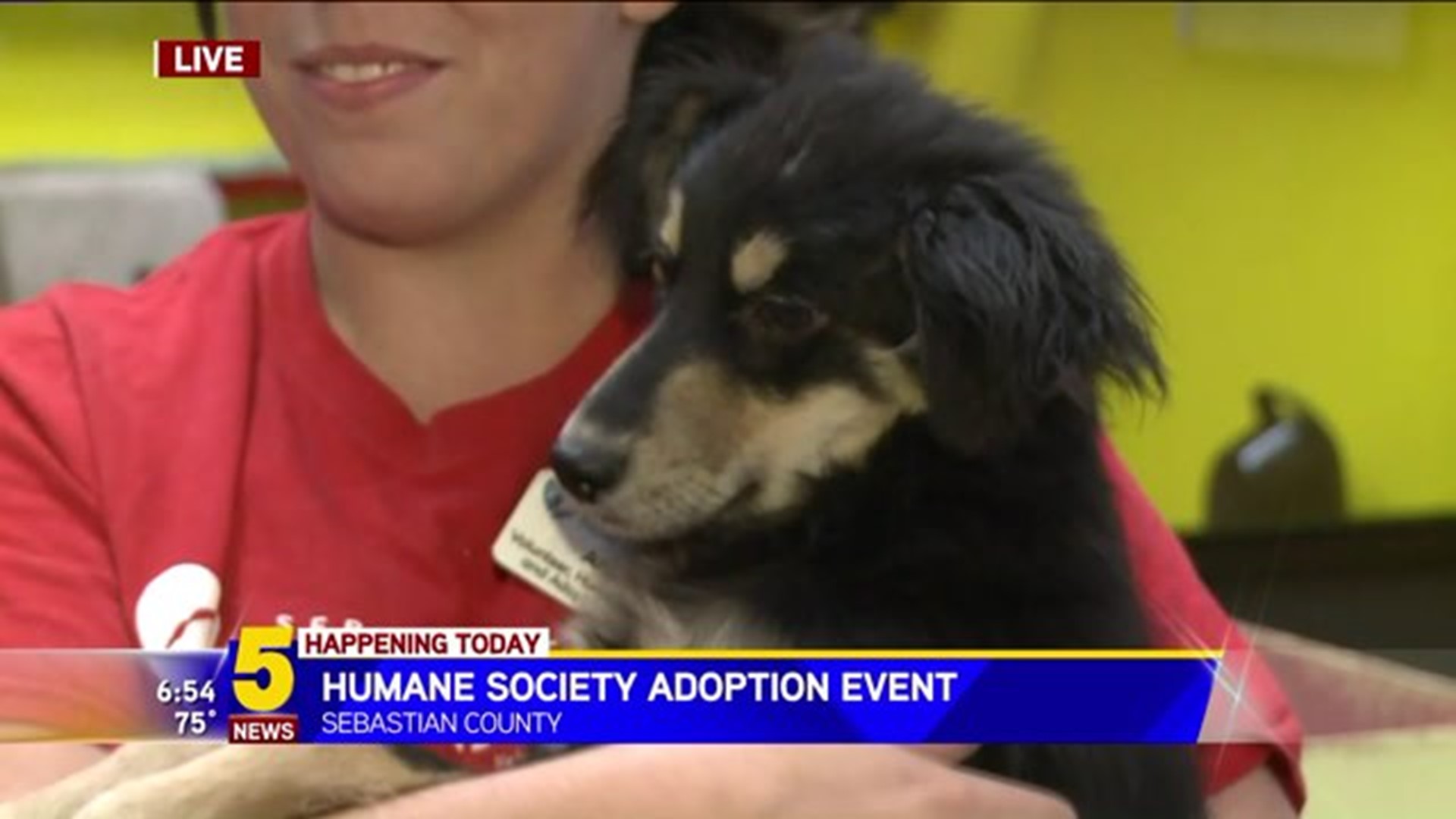 Sebastian Co. Humane Society Adoption Event