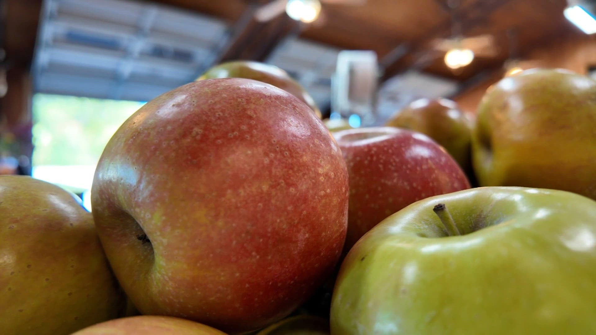 Record summer heat impacts local apple orchard | 5newsonline.com