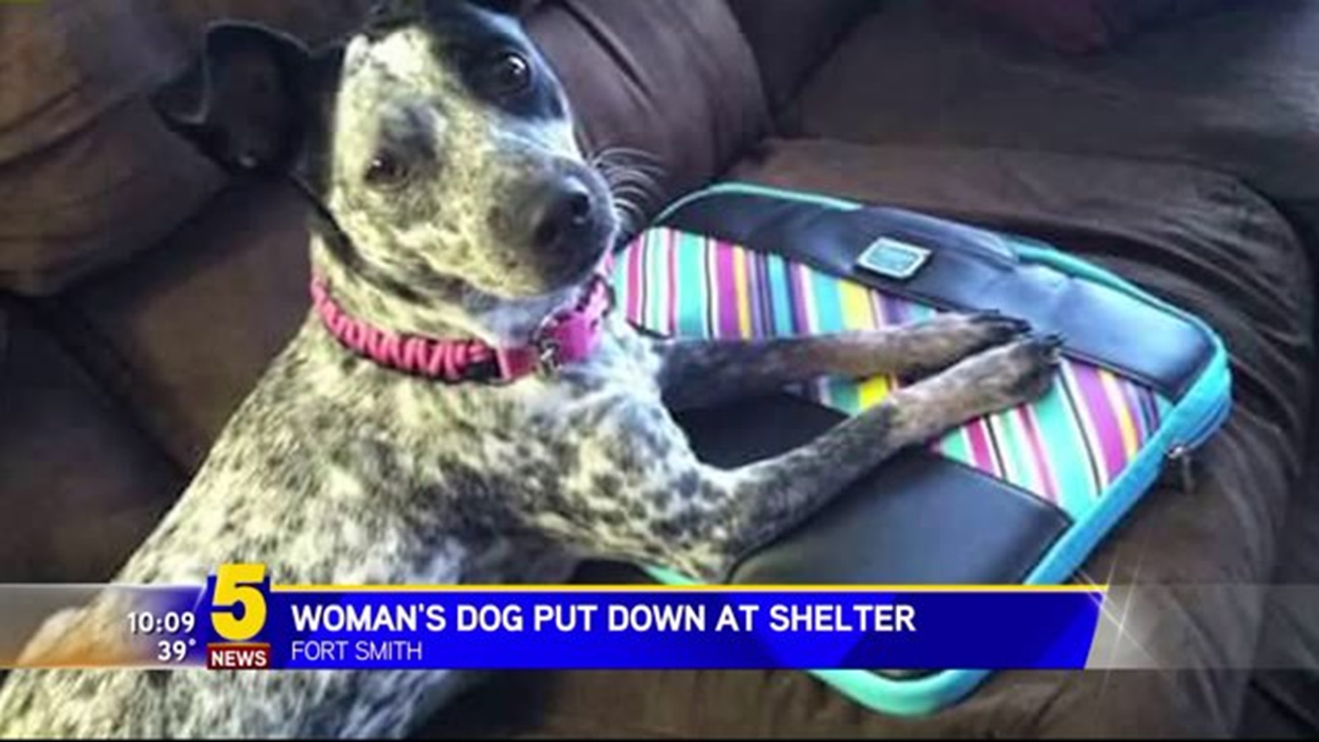 Woman`s Dog Put Down At Shelter