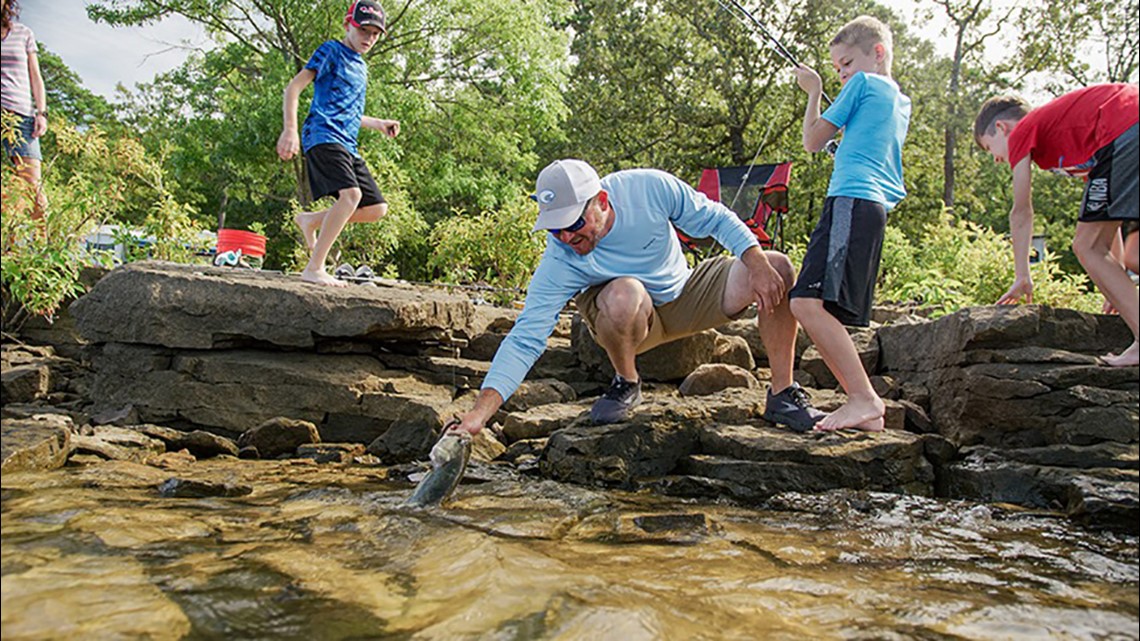 Arkansas landowners could get $10k for sharing land with public - Vimarsana News