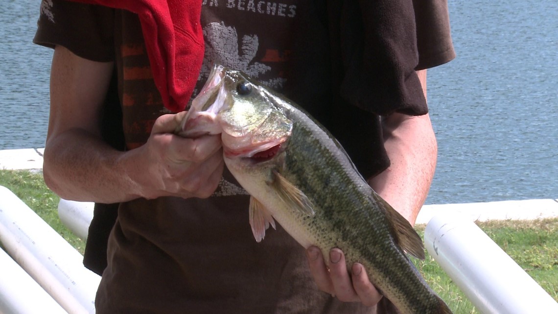 Beaver Lake’s Buddy Bass Tournament To Be Discontinued