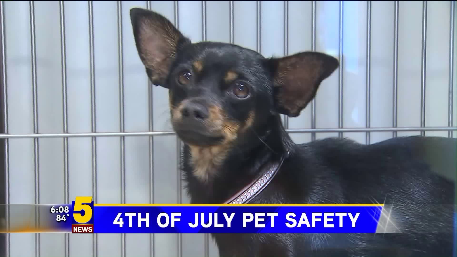 4th of July and Pet Safety
