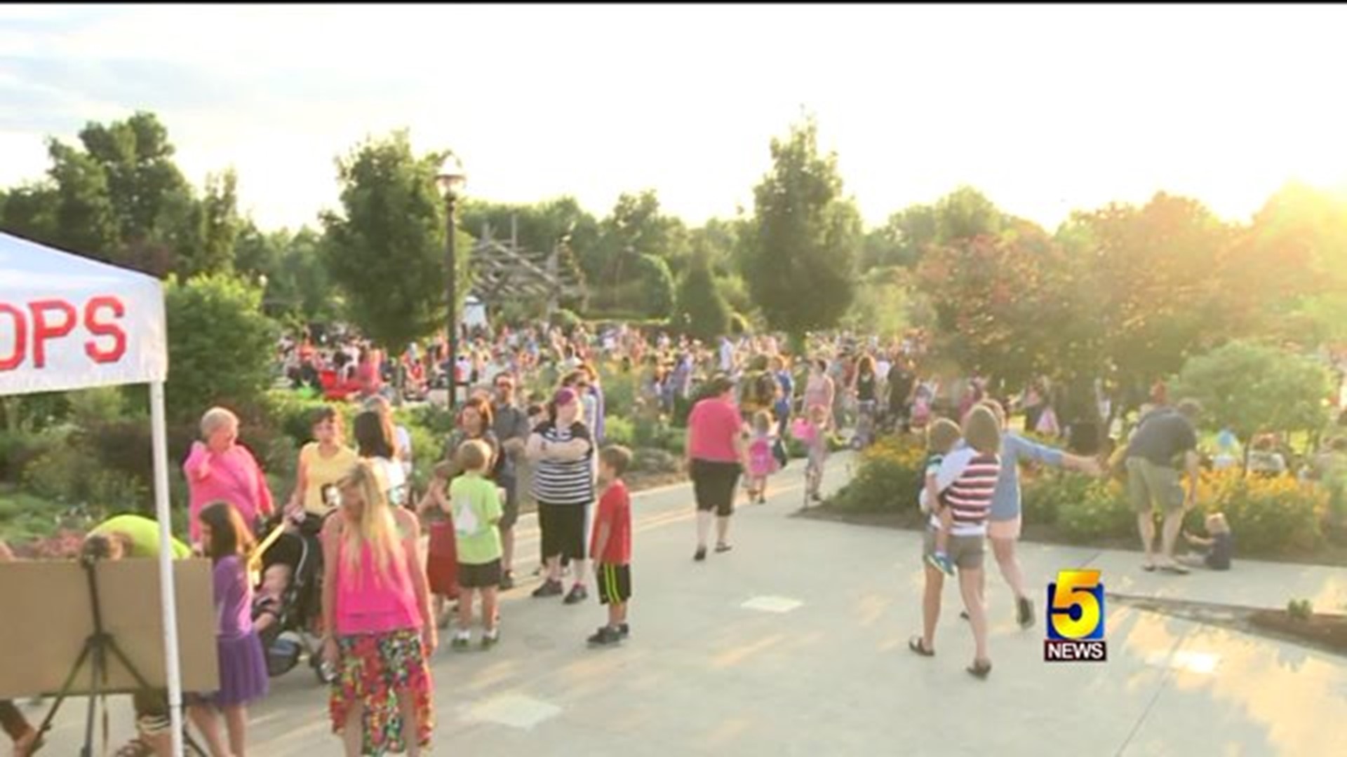 Firefly Fling Brings Out Thousands Of Locals