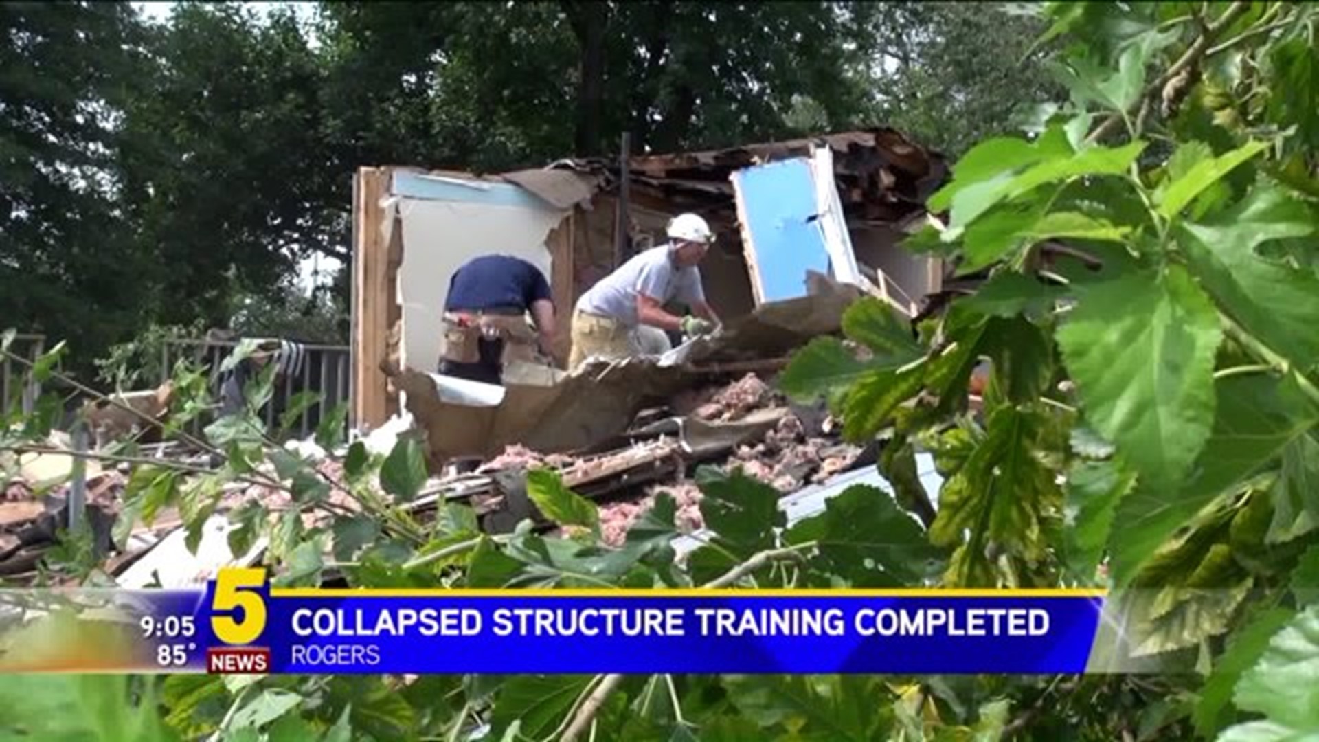 Collapsed Structure Training