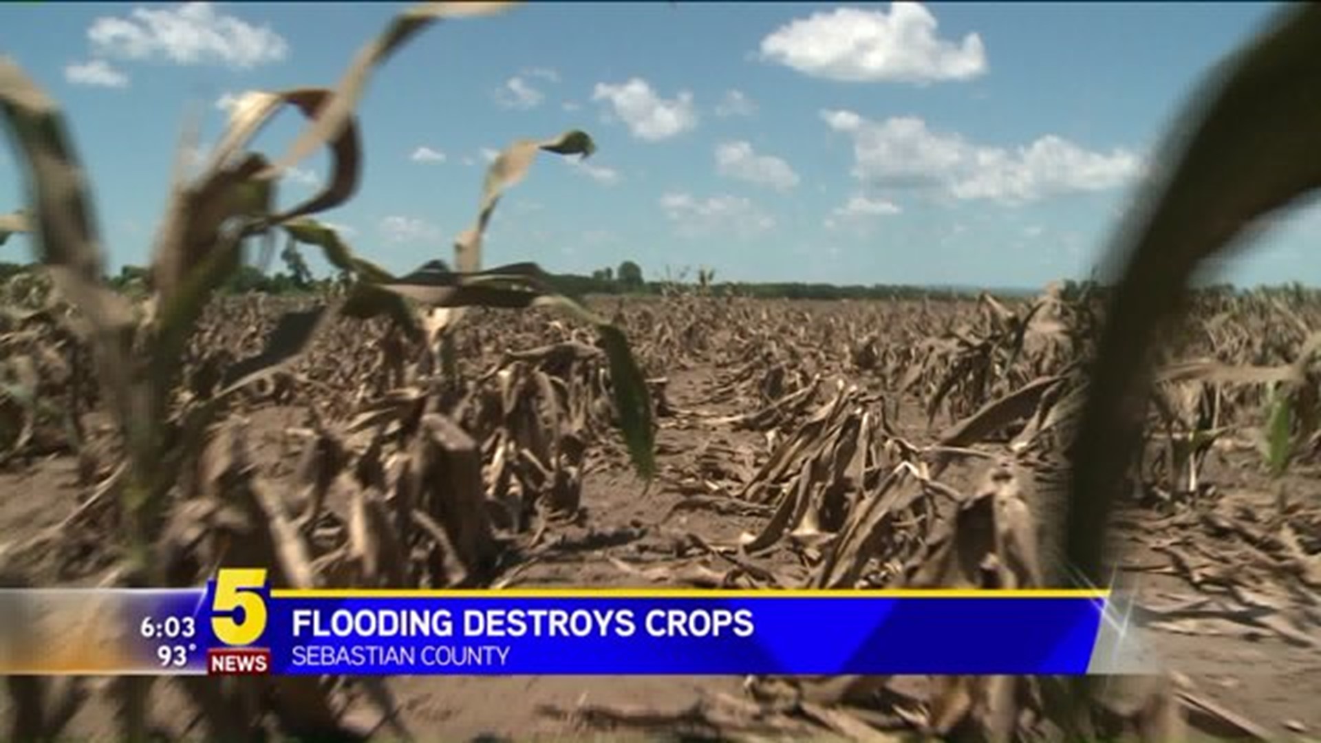 Flooding Destroys Farmer`s Crops