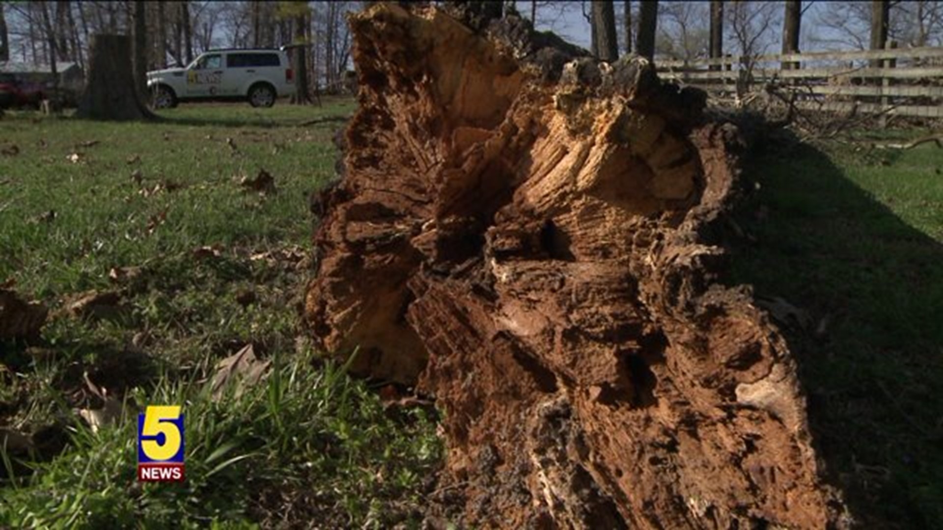 Clifty Tornado Clean Up
