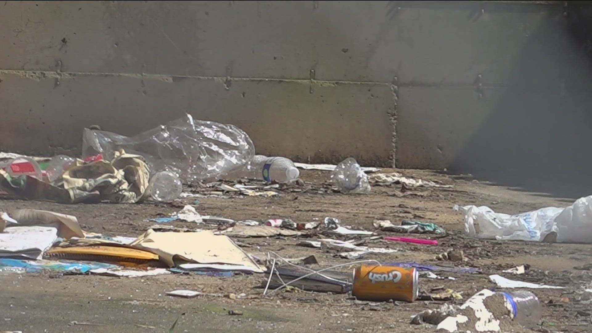 From bags of household garbage, animal carcasses, and even human waste, Mayor Rieder says the center has now gotten out of control.