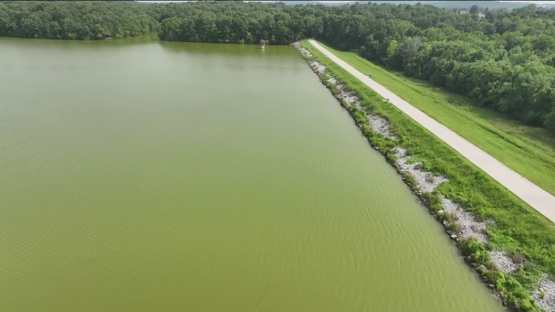 Harmful algal blooms can provide a myriad of toxins. More specifically, Lake Fayetteville has become susceptible to a liver toxin and possible human carcinogen.