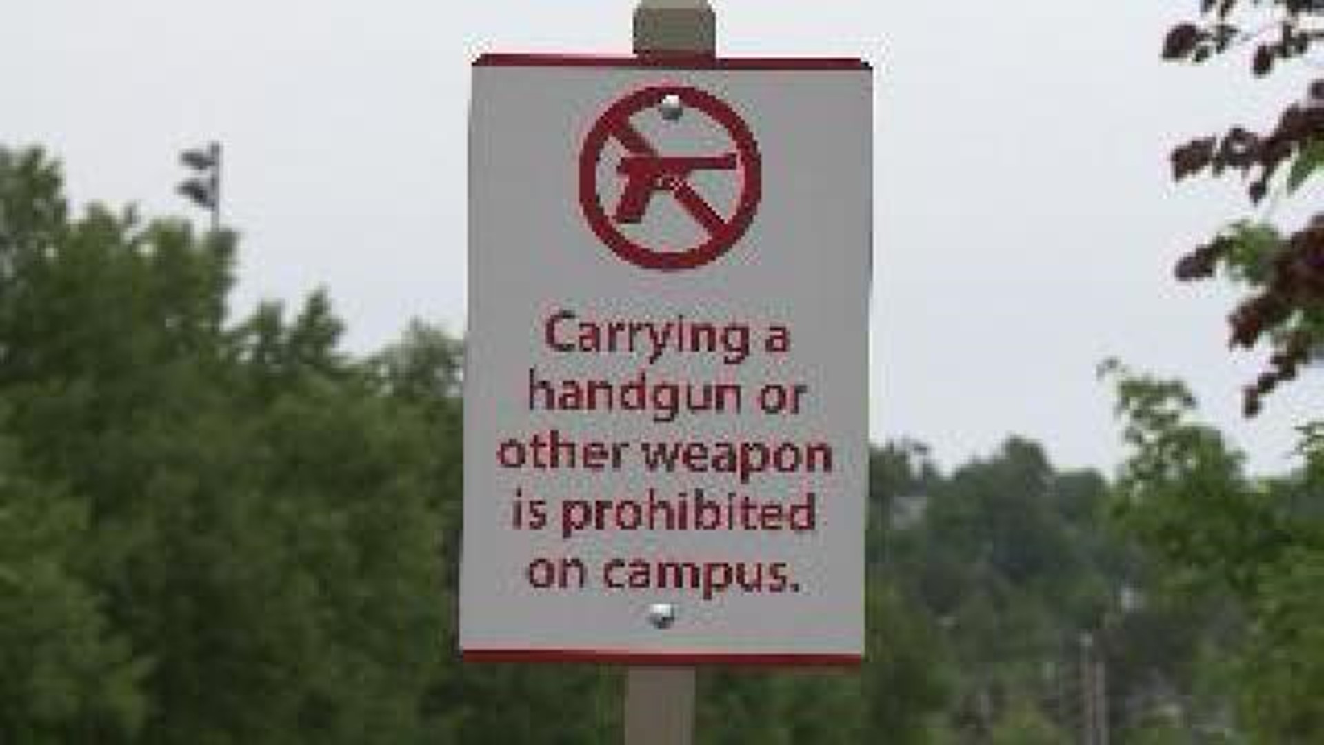 UA System Opts Out of Gun Law