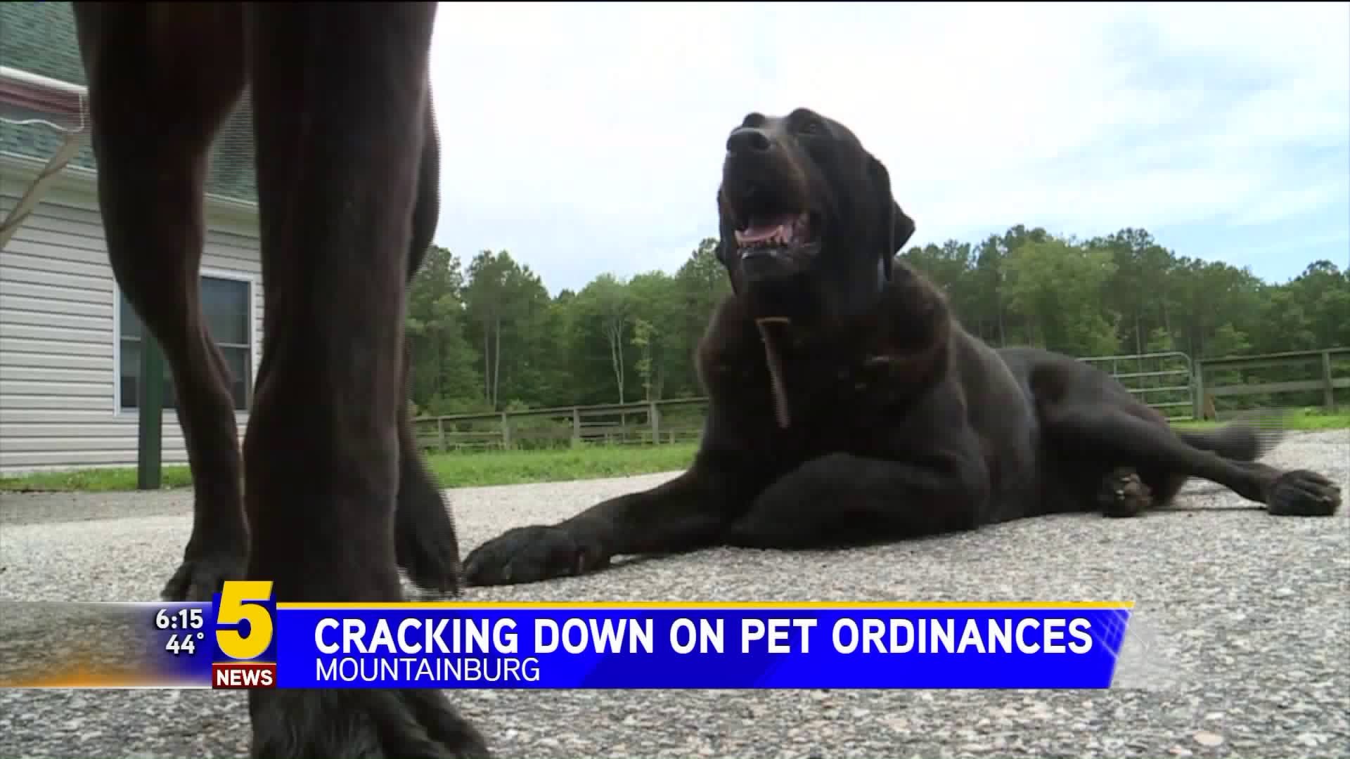 Mountainburg PD Cracking Down On Leash Laws
