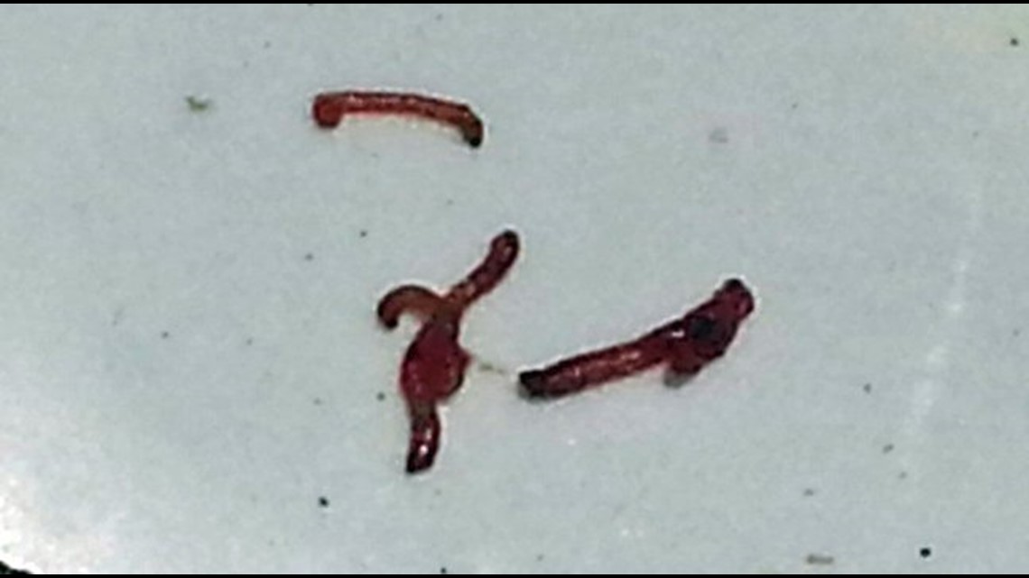 Blood Worms In Water Close Schools For Rest Of Week