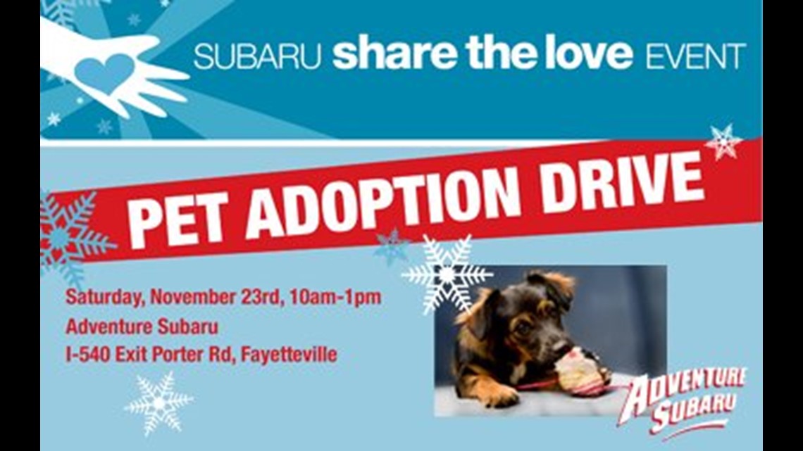 Share the Love with Adventure Subaru – Pet Adoption Drive | 5newsonline.com