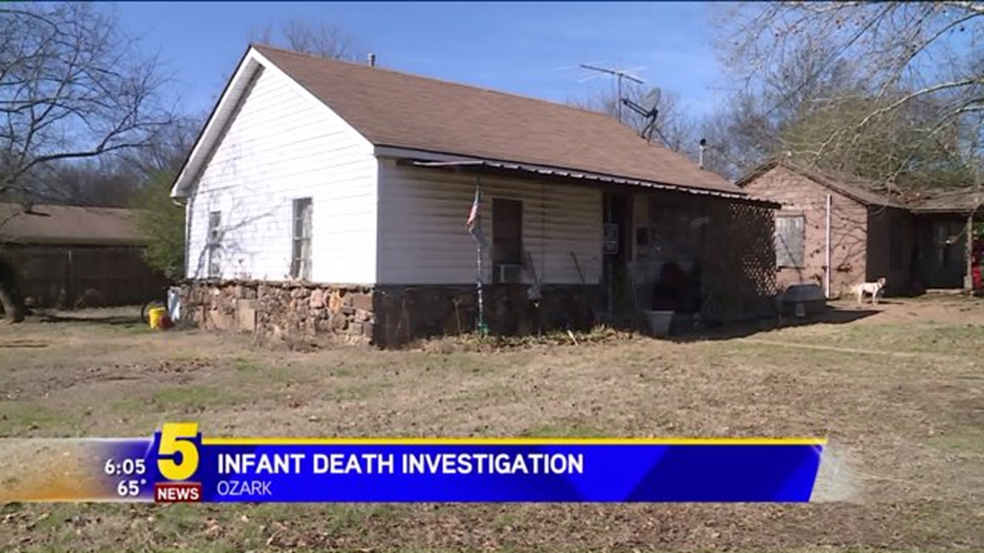 Infant Death Investigation