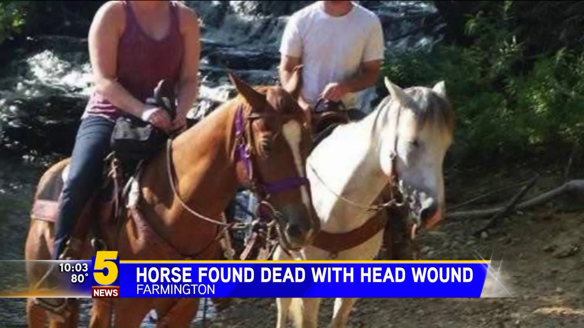 FARMINGTON HORSE FOUND DEAD