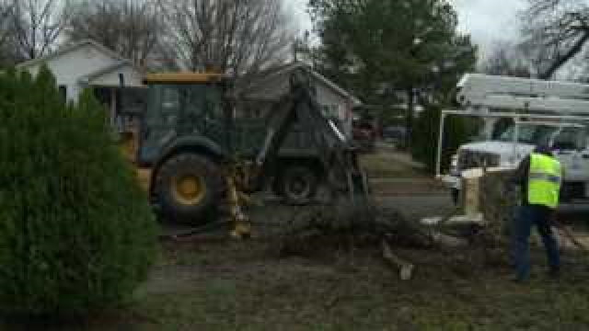 Neighbors Upset Over Tree Removal