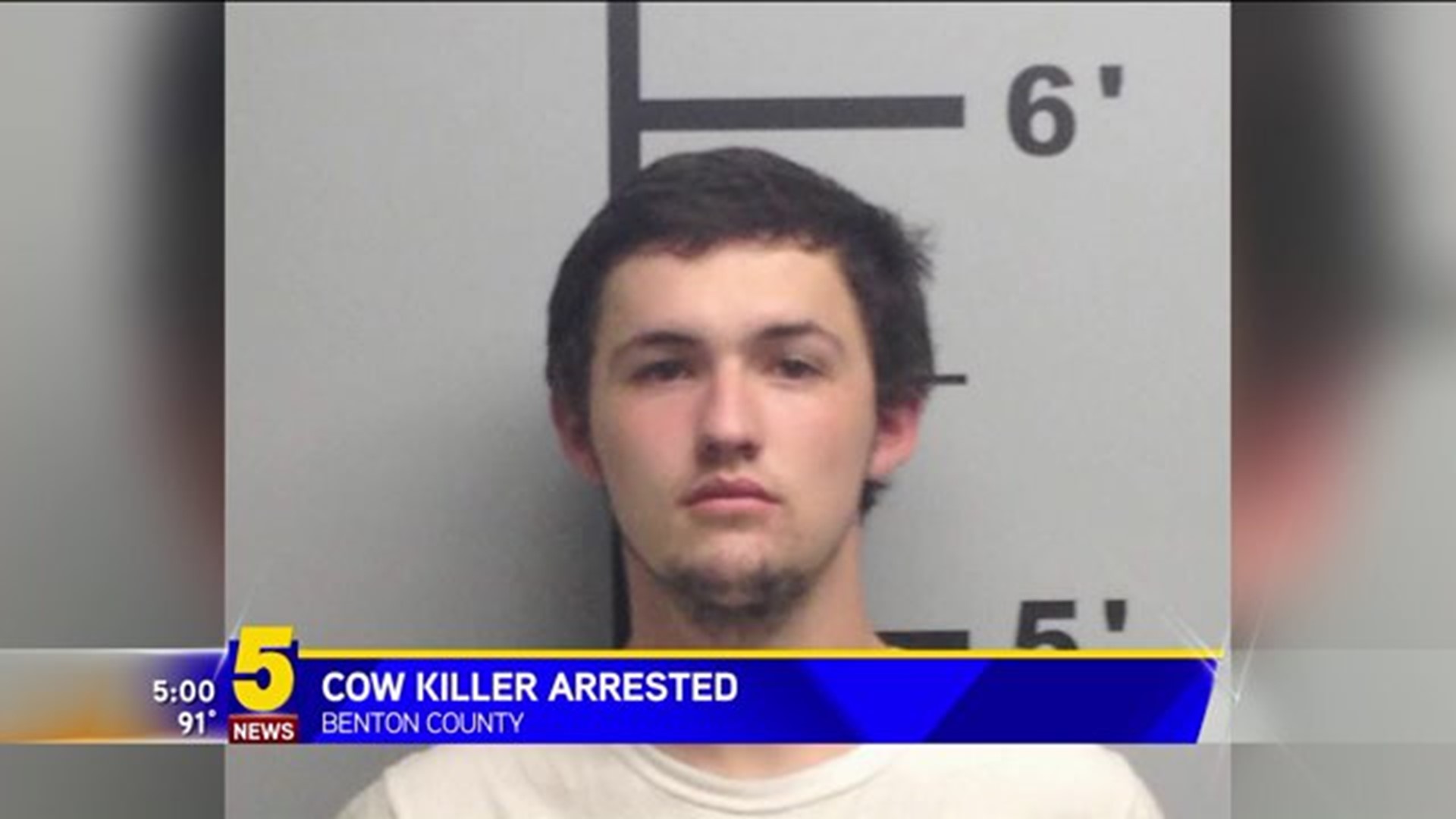 Benton Co. Sheriff’s Office Arrests Cow Killer, Recovers Stolen ...