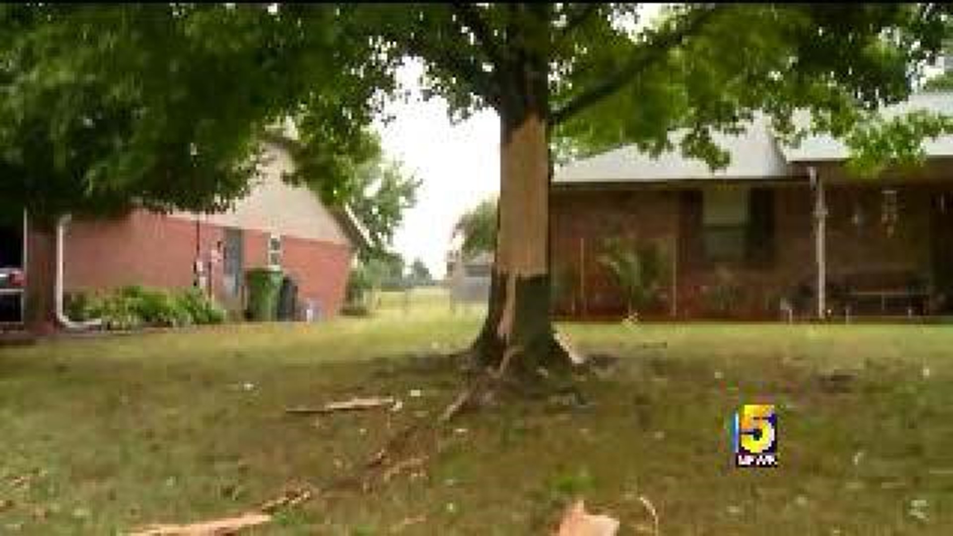 Neighbors Hear Explosion, See Tree Damage